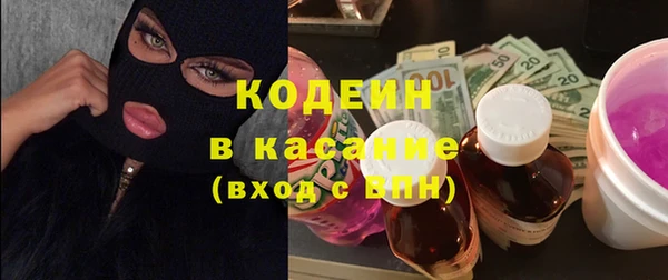прущие грибы Новозыбков