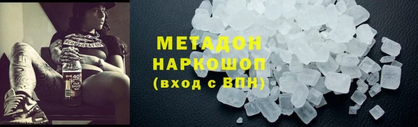 прущие грибы Новозыбков