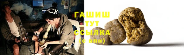 прущие грибы Новозыбков
