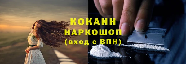 ГАЛЛЮЦИНОГЕННЫЕ ГРИБЫ Нея