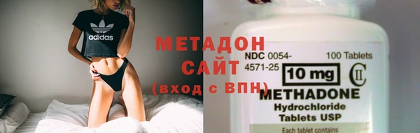 прущие грибы Новозыбков