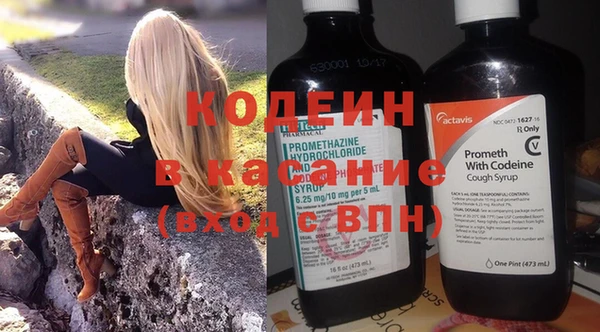 прущие грибы Новозыбков