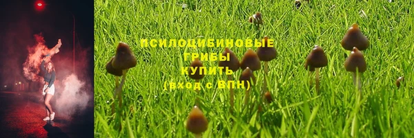 apvp Нефтегорск