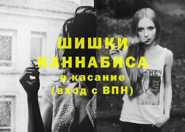 прущие грибы Новозыбков