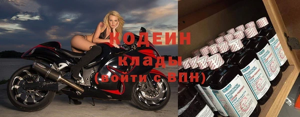 прущие грибы Новозыбков