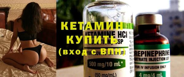 прущие грибы Новозыбков