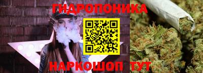 мдпв Краснознаменск