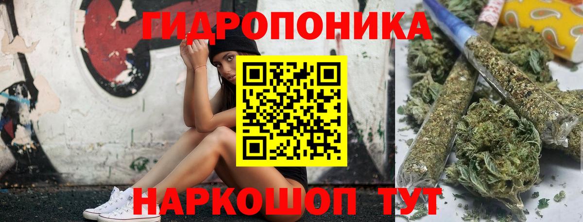 Каннабис конопля  Каннабис конопля  Мирный  МАРИХУАНА SATIVA & INDICA 